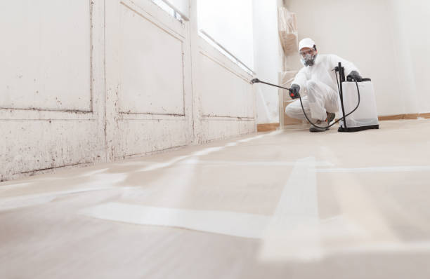 24/7 Emergency Mold Remediation experts in Alpharetta, GA